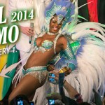 Carnaval Estocolmo 2014 – Pictures by Ztefan Bertha