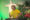 Bildtext 1 TEST